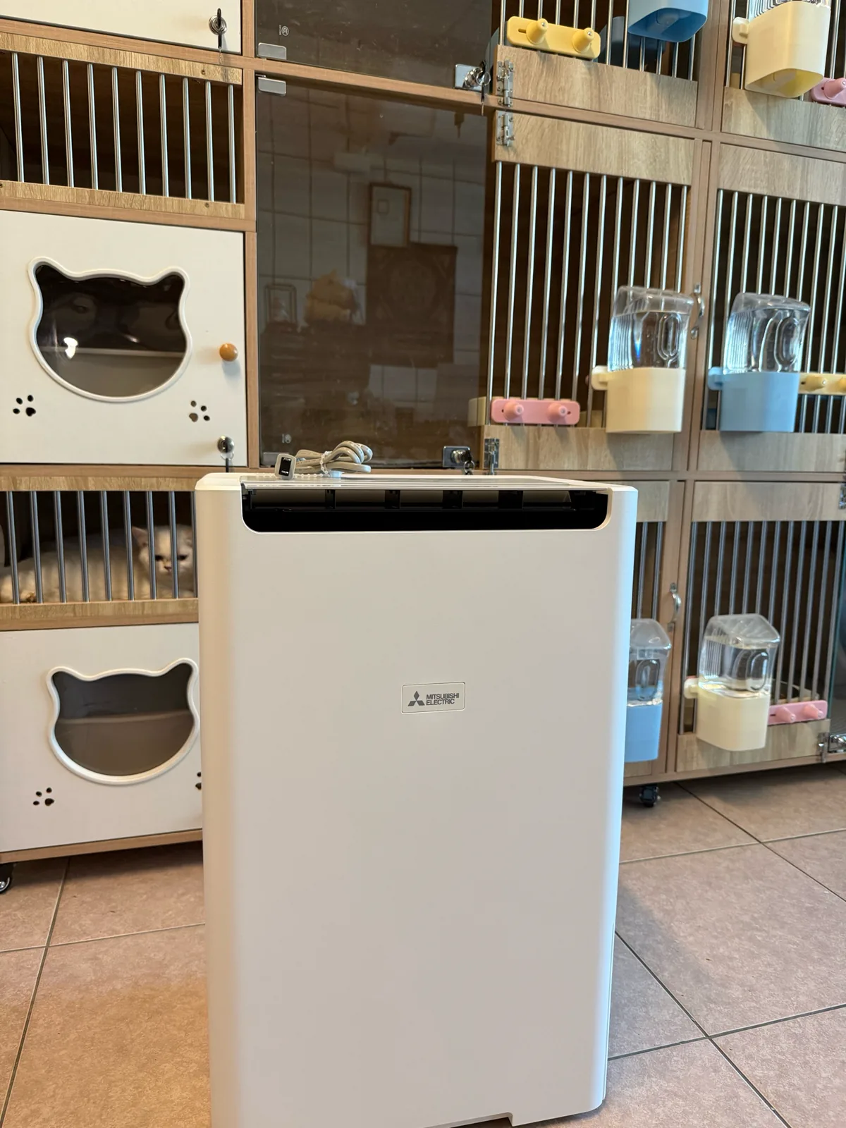 彼岸貓坊一樓三菱電機 22L 除濕機與貓咪照護空間