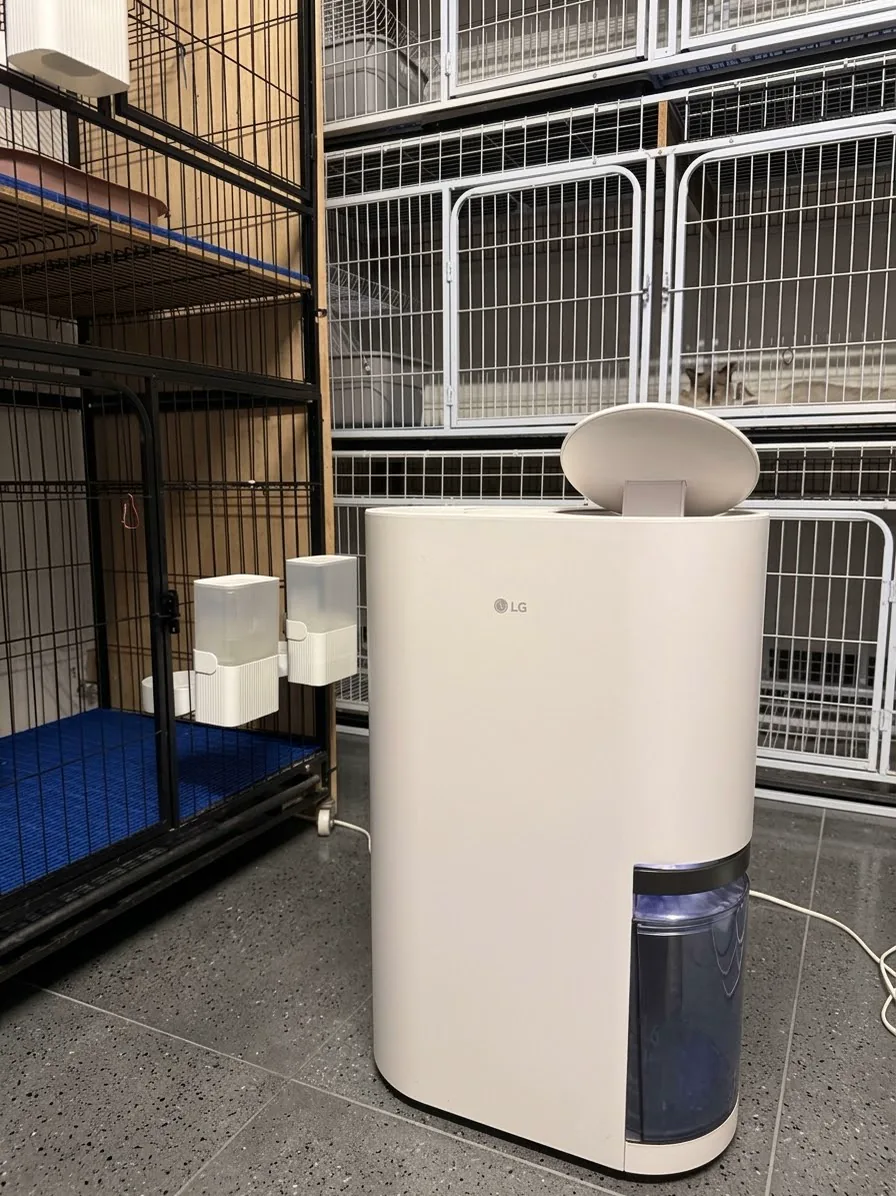 彼岸貓坊三樓 LG 22L 除濕機與貓咪照護空間