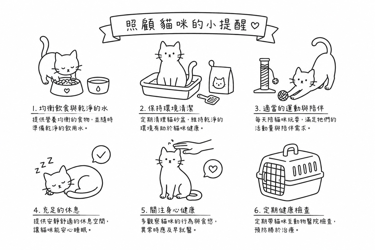 歡迎寶貝回家：新貓返家初期照顧與注意事項